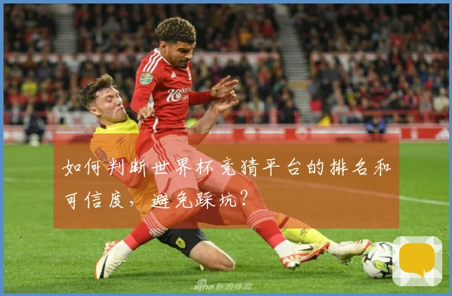如何判断世界杯竞猜平台的排名和可信度，避免踩坑？