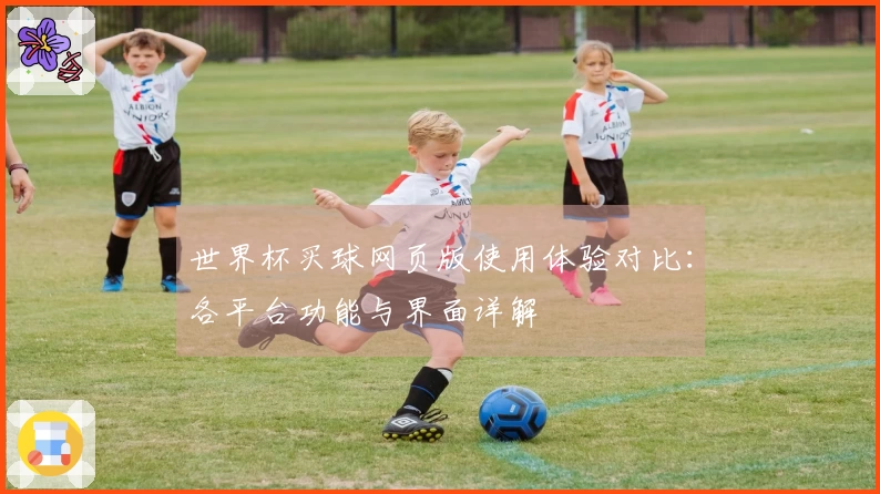 世界杯买球网页版使用体验对比：各平台功能与界面详解
