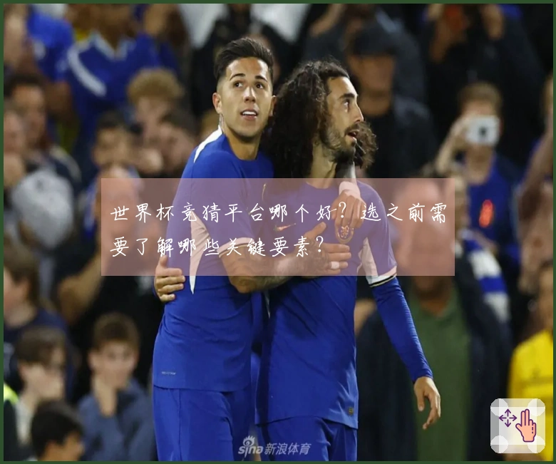 世界杯竞猜平台哪个好?选之前需要了解哪些关键要素?