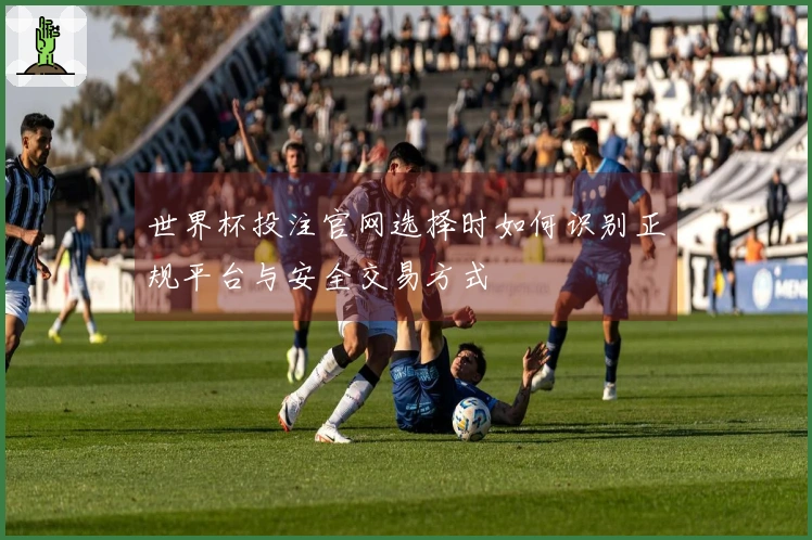 世界杯投注官网选择时如何识别正规平台与安全交易方式
