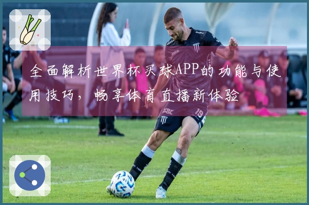 全面解析世界杯买球APP的功能与使用技巧，畅享体育直播新体验