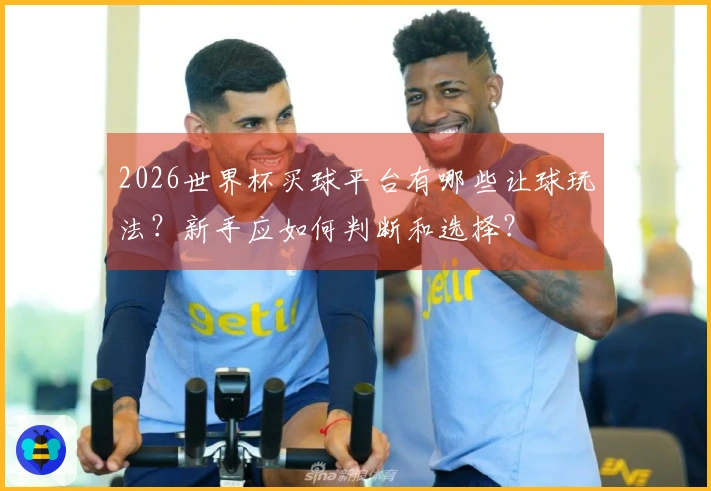 2026世界杯买球平台有哪些让球玩法?新手应如何判断和选择?