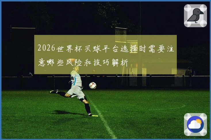 2026世界杯买球平台选择时需要注意哪些风险和技巧解析