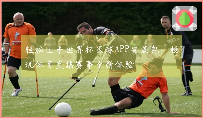 轻松上手世界杯买球APP安装包，畅玩体育直播赛事全新体验