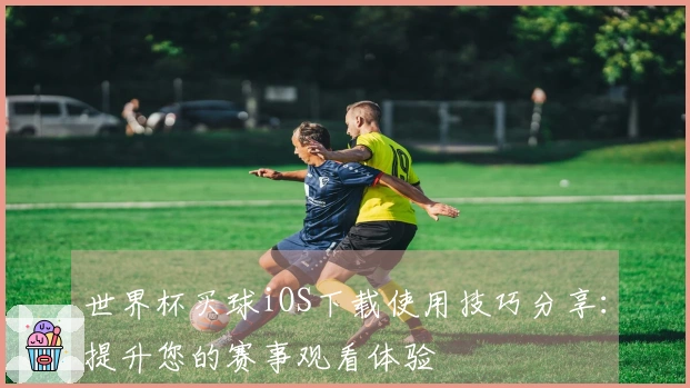 世界杯买球iOS下载使用技巧分享:提升您的赛事观看体验