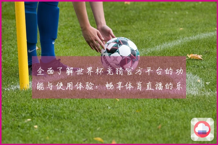 全面了解世界杯竞猜官方平台的功能与使用体验，畅享体育直播的乐趣